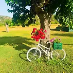 Achilleas Peaceful Place アパート