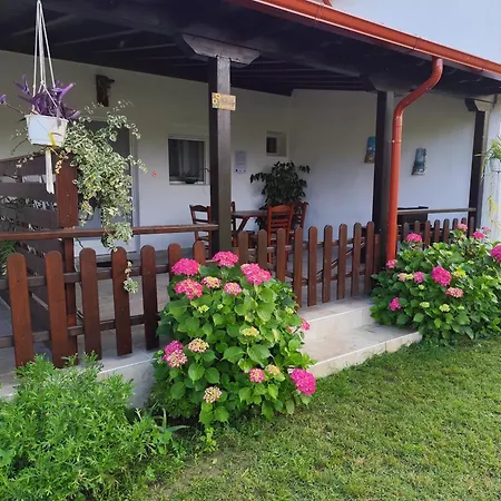 Achilleas Peaceful Place Apartament Skala Sikias