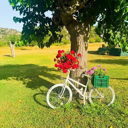 Achilleas Peaceful Place شقة